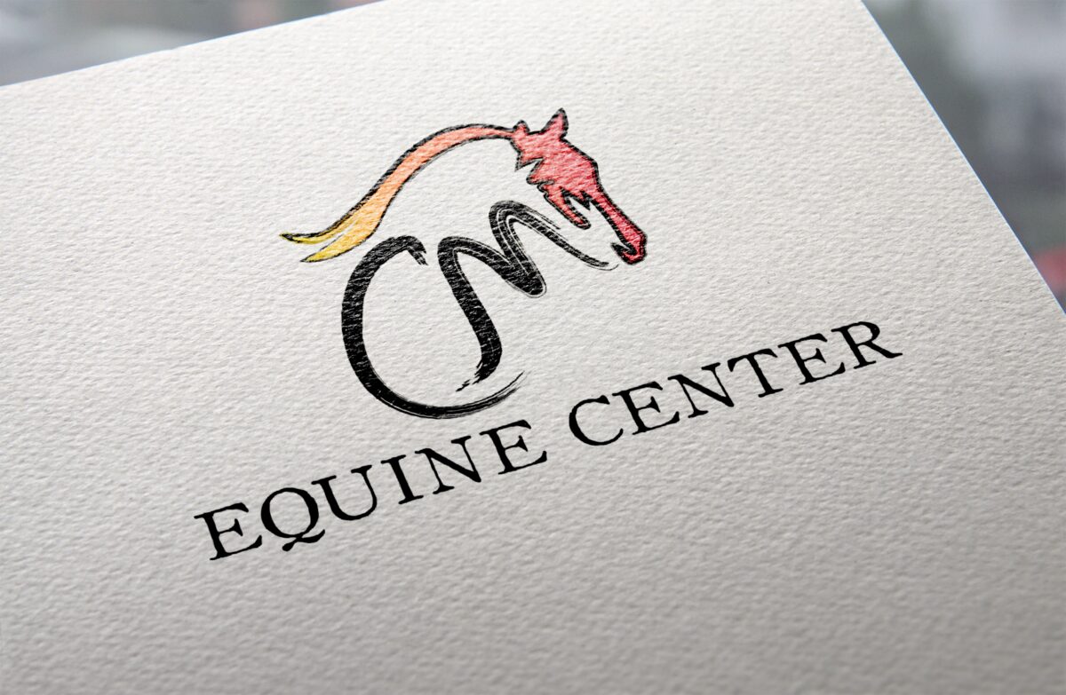 Logo, brand identity and social media design by WAGS Media